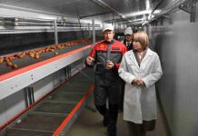«Комос Групп» открыл птицефабрику мощностью 157 млн яиц в год в Удмуртии